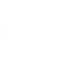 bvmw